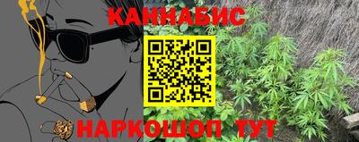 скорость Кингисепп
