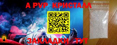 скорость Кингисепп