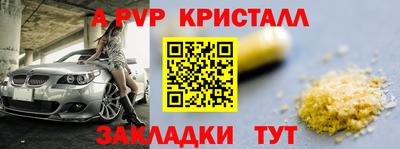 скорость Кингисепп
