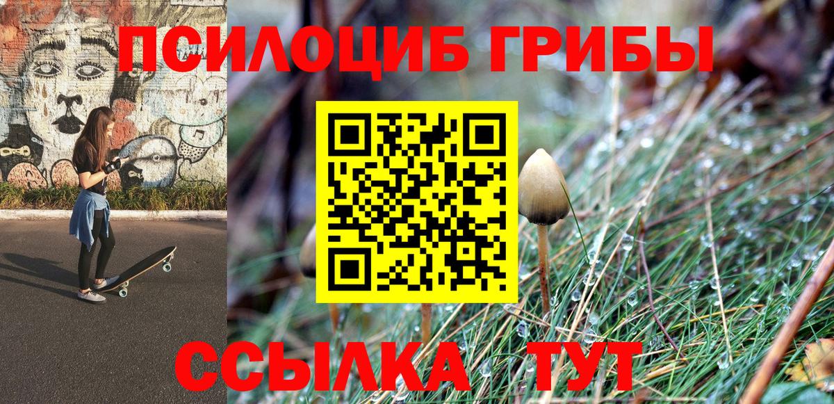 Камышлов  Псилоцибиновые грибы ЛСД  Вход с VPN 